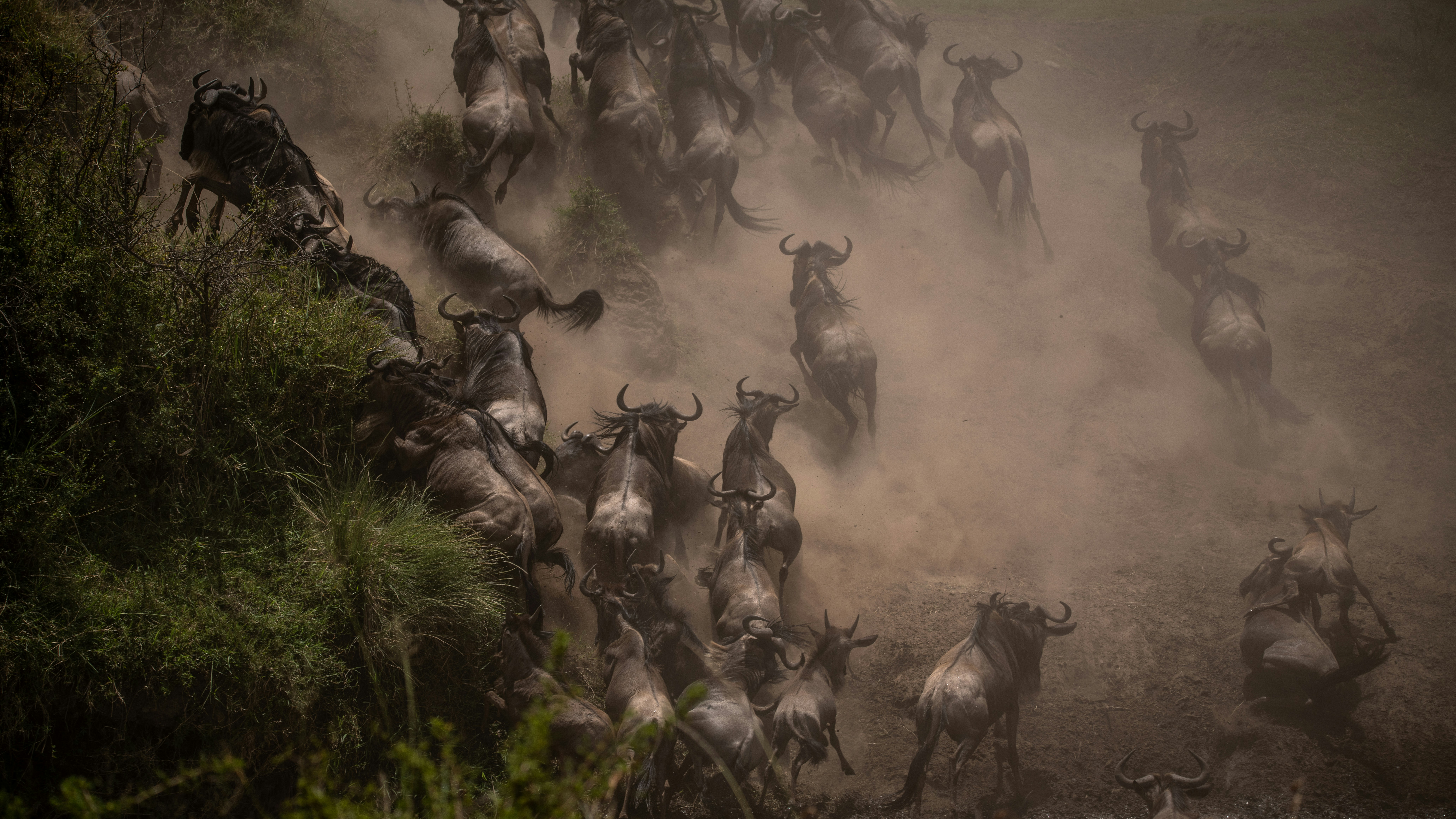 Great Migration